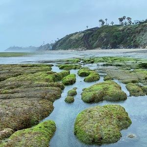 Meet your Posher, Cameron